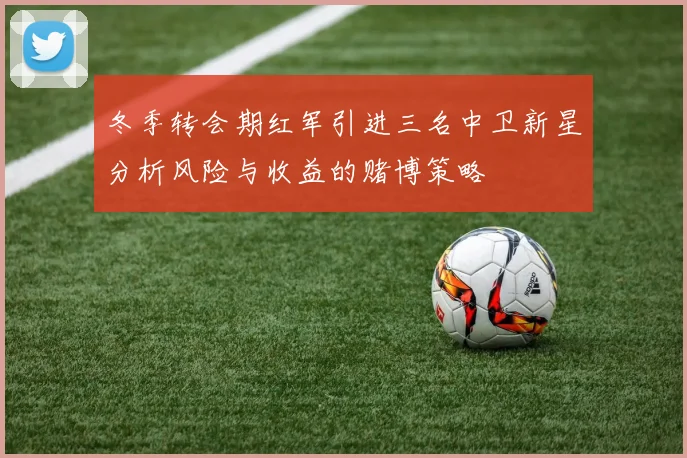 冬季转会期红军引进三名中卫新星分析风险与收益的赌博策略