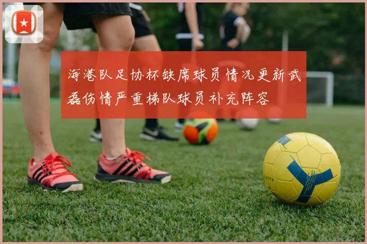 海港队足协杯缺席球员情况更新武磊伤情严重梯队球员补充阵容